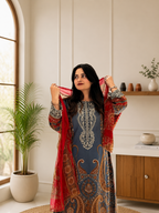 Elegant Blue Printed Chinon Anarkali Suit Set With Diamond Work