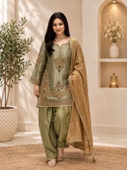 Premium Designer Sage Green Glass Satin Punjabi Salwar Suit Set