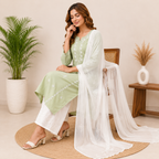 Elegant Sage Green Rayon Embroidered Suit Set With Dupatta